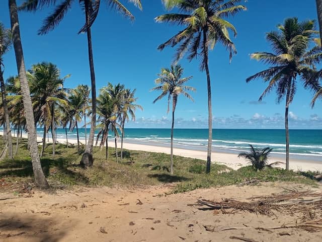 Praia do Coleirinha - Image 1