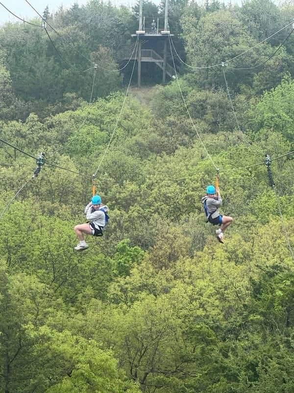 Wildwood Adventure Park - Image 2