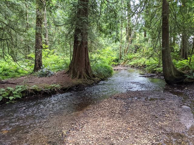 Knollwood Park - Image 1