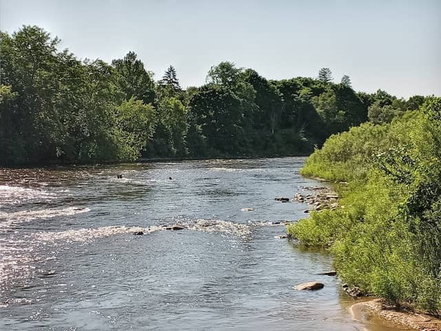 Swede Hill Park - Image 2