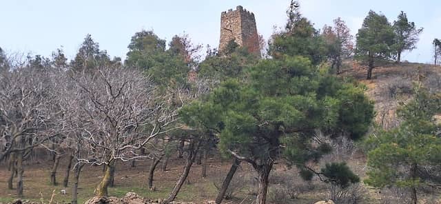Old tower - Image 2