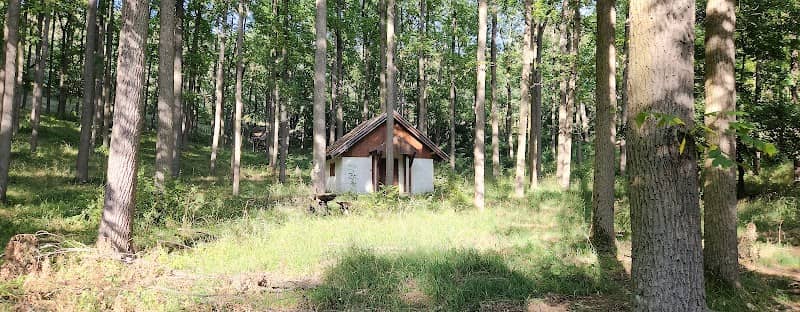 Aranyélet méhes - Image 2