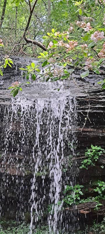 Tiny Falls - Image 1