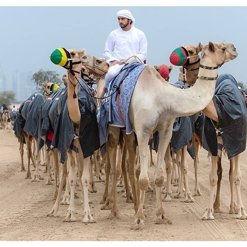 Shaikh Hamdan Desert Safari - Image 1