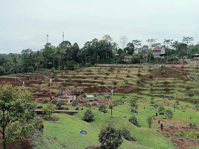 Durian Bunga suta - Image 2