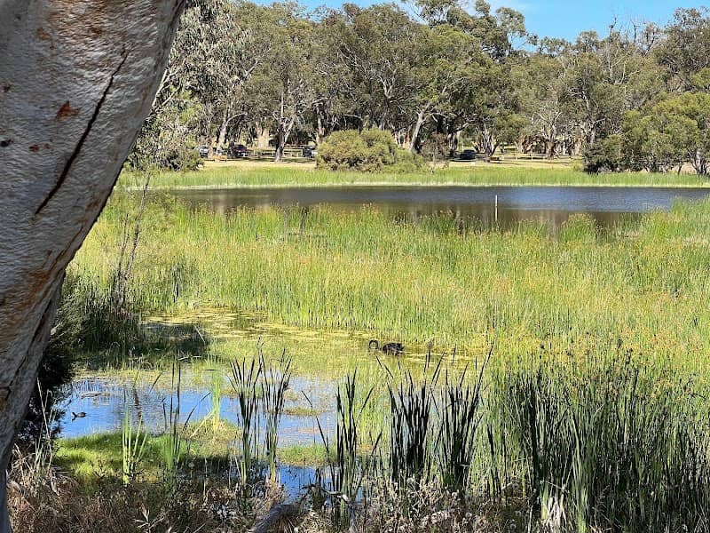 Perry Lakes Reserve - Image 1
