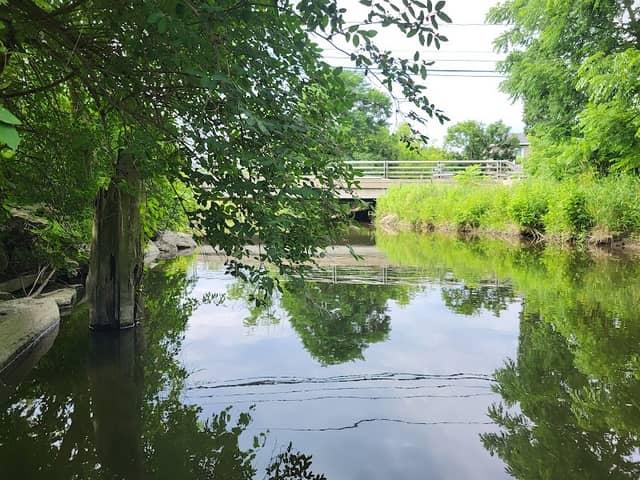 Virgil creek - Image 1