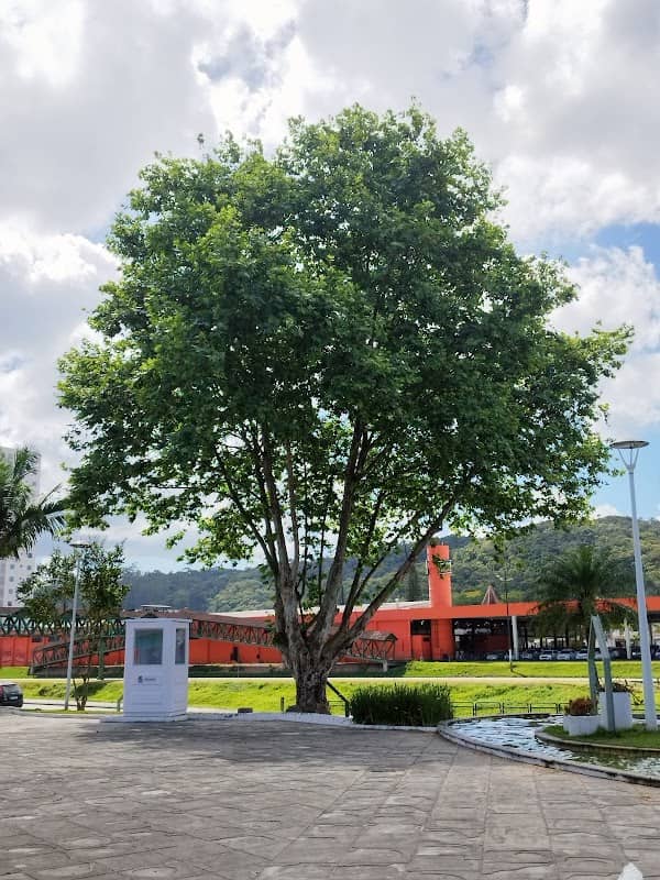 Praça Gilberto Colzani (Praça do Chafariz) - Image 1