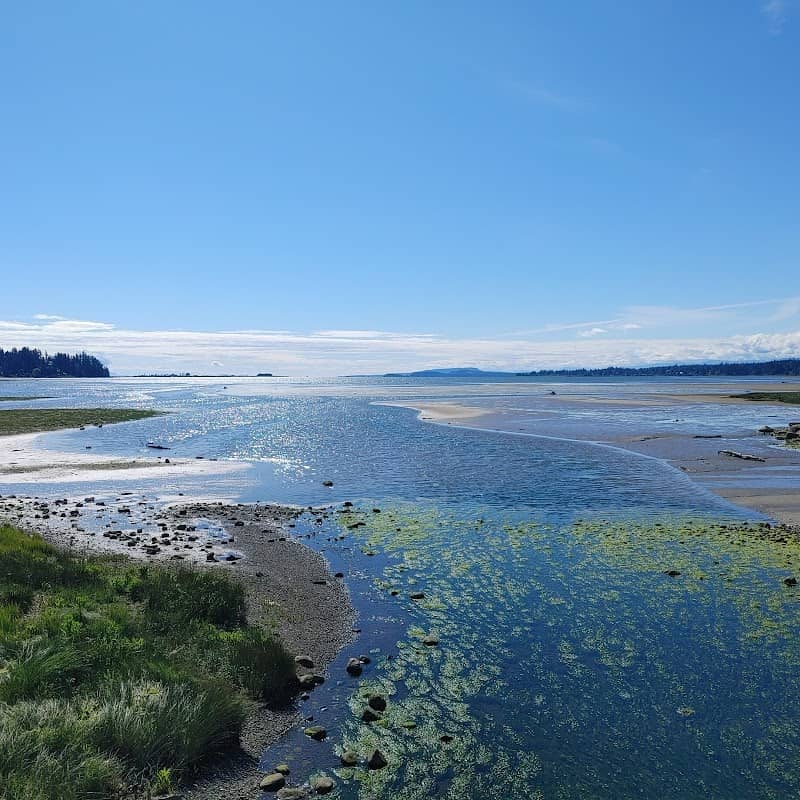 Courtenay Airpark Lagoon Salt Marsh - Image 1