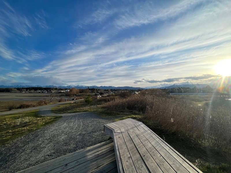 Courtenay Airpark Lagoon Salt Marsh - Image 2