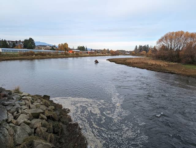Courtenay Airpark Lagoon Salt Marsh - Image 3