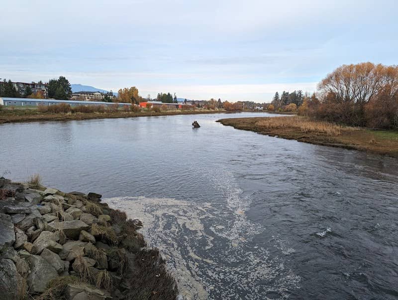 Courtenay Airpark Lagoon Salt Marsh - Image 3