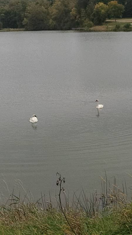Ida County Conservation Center - Image 2