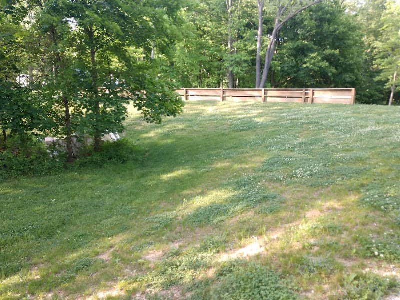 Wetmore Park - Image 2