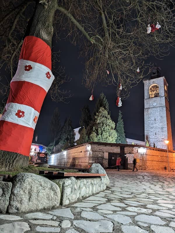 Вековно дърво - Image 1
