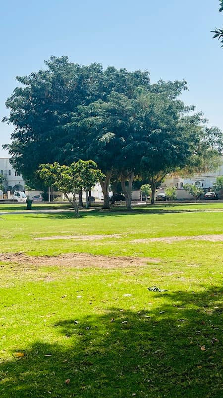 park - Image 2