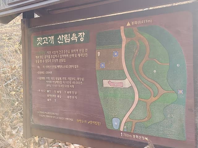 Jatgogae Nature Recreation Forest - Image 1