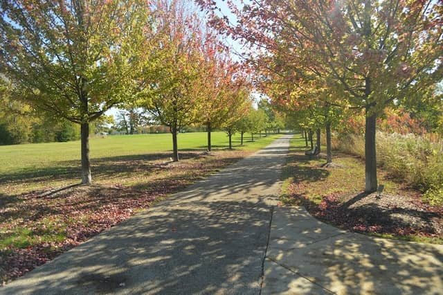 Central Park - Image 1