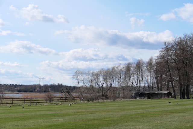Menhammarsviken fågeltorn - Image 3