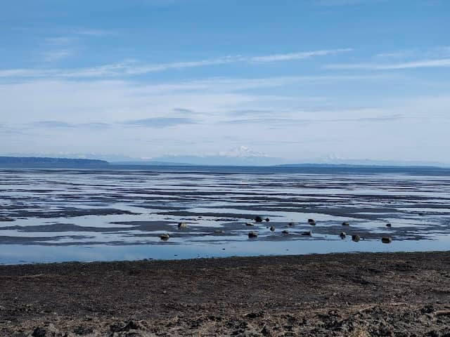 Beach Grove Park - Image 1