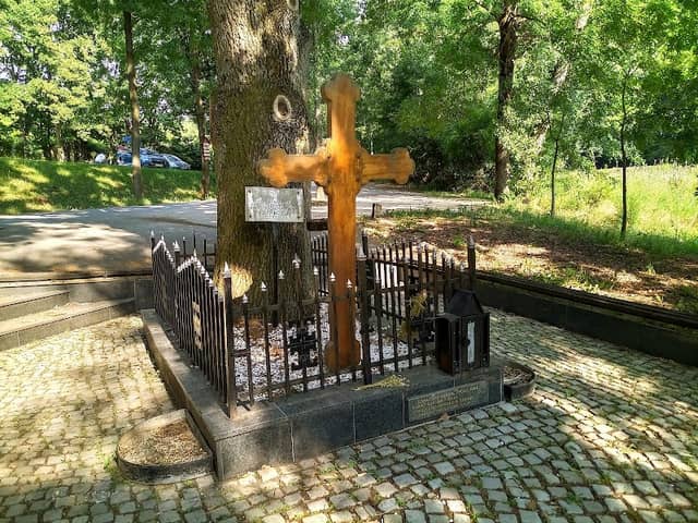 Radovanje Grove - Image 1