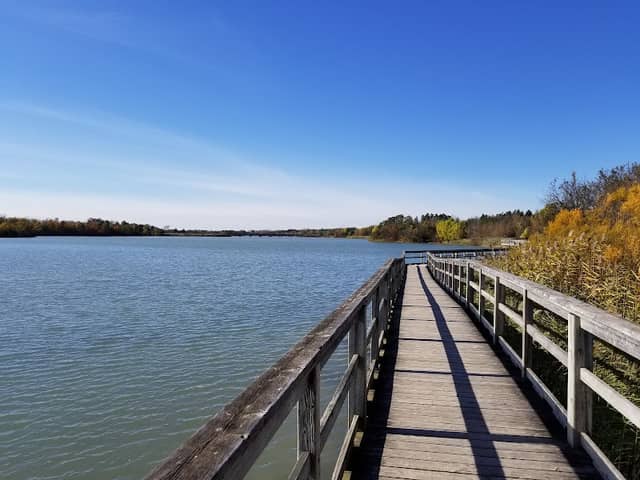Mel Swart Lake Gibson Conservation Park - Image 2