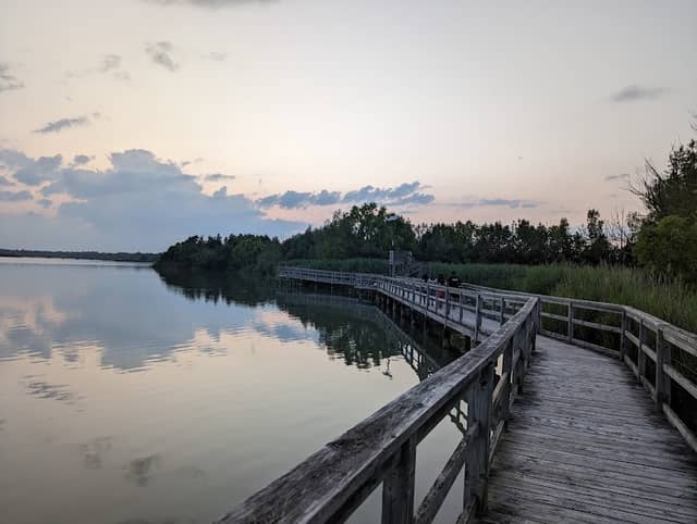 Mel Swart Lake Gibson Conservation Park - Image 1
