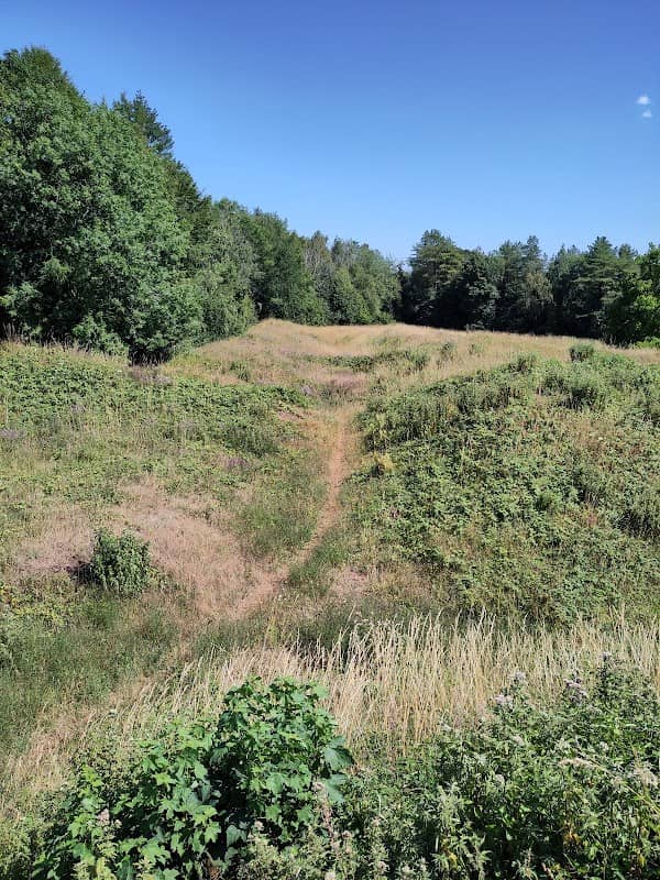 Llanmelin Wood Hillfort - Image 1