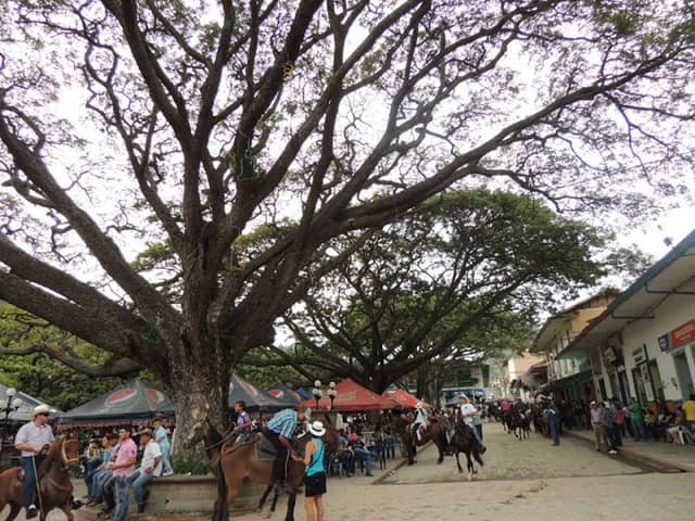 Naratupe Park - Image 2