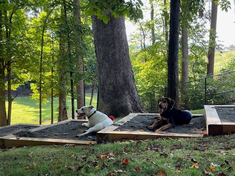 Dog Park - Image 1
