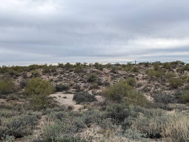 Linda Vista Nature Area - Image 1