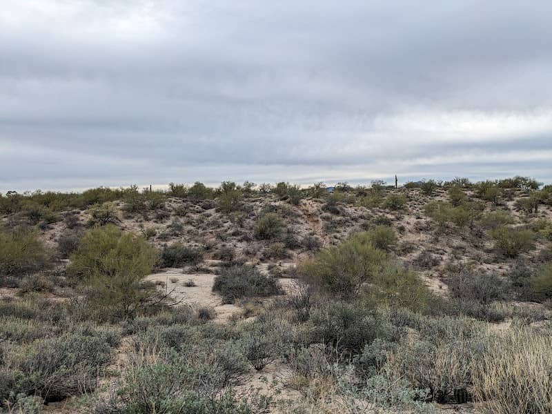 Linda Vista Nature Area - Image 1