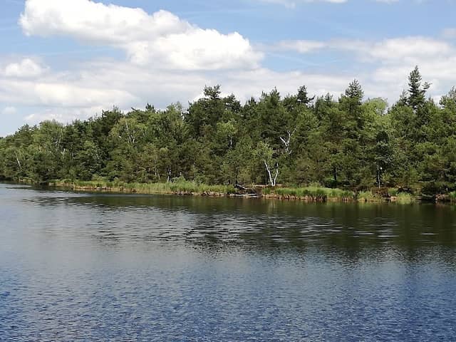 Schönramer Moor - Image 1