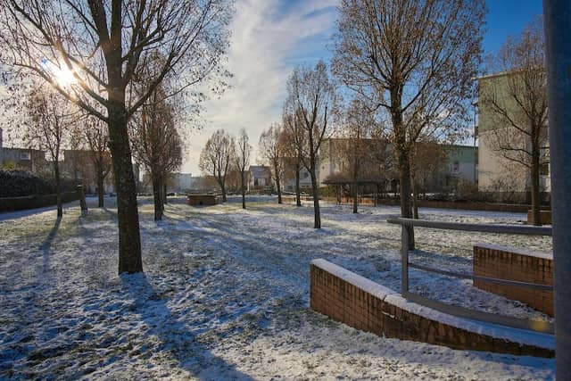Grünanlage - Image 1