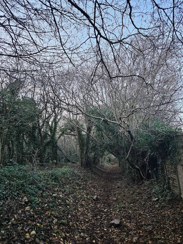 Harvestfield Park - Image 2