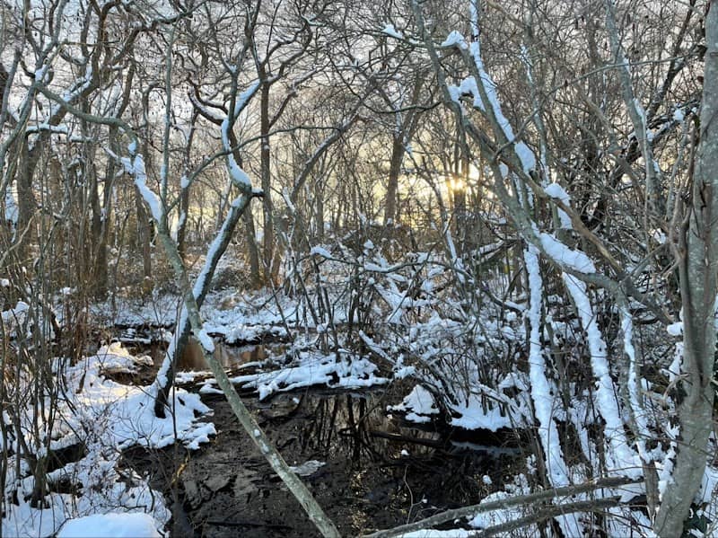 Ketcham Creek - Image 1
