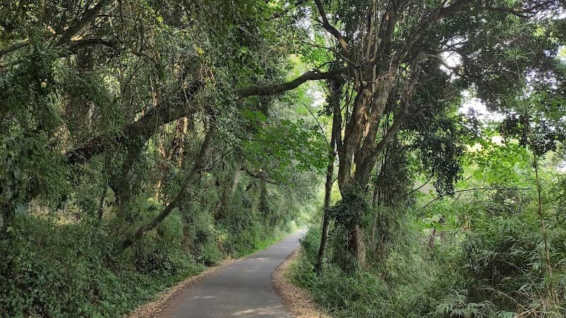 Cerro Ñielol - Image 1