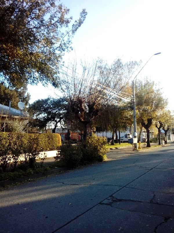 Plaza Violeta Parra - Image 1