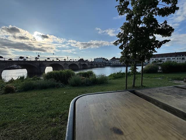 Parc de l'île Sauzay - Image 2