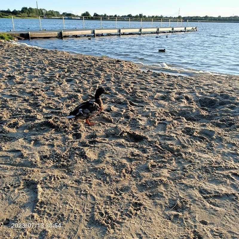 Park - Image 1