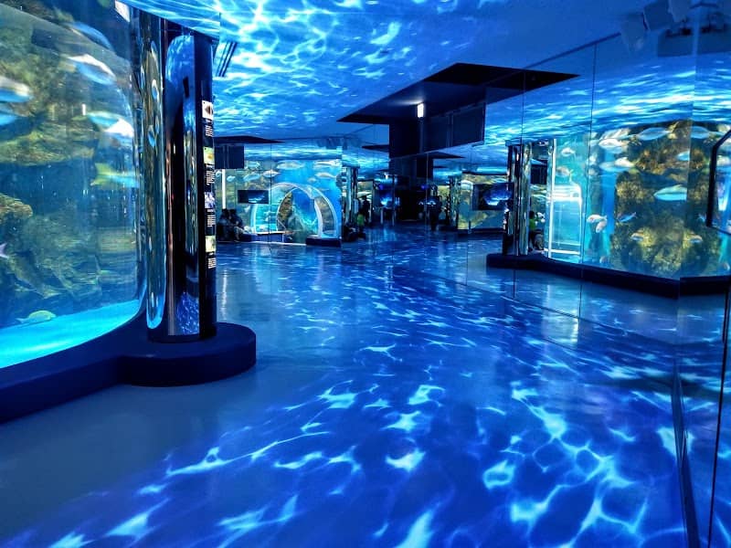 Notojima Aquarium - Image 2