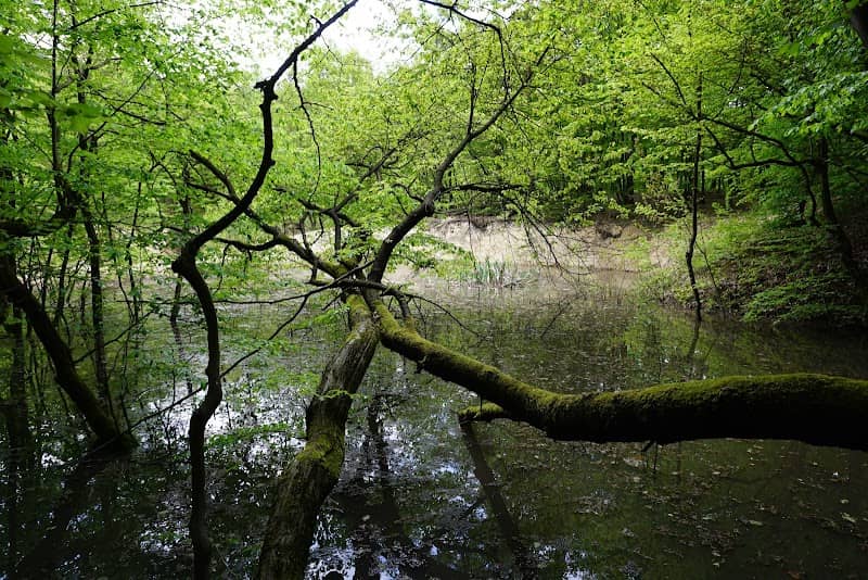Ťahanovské jazierko - Image 1