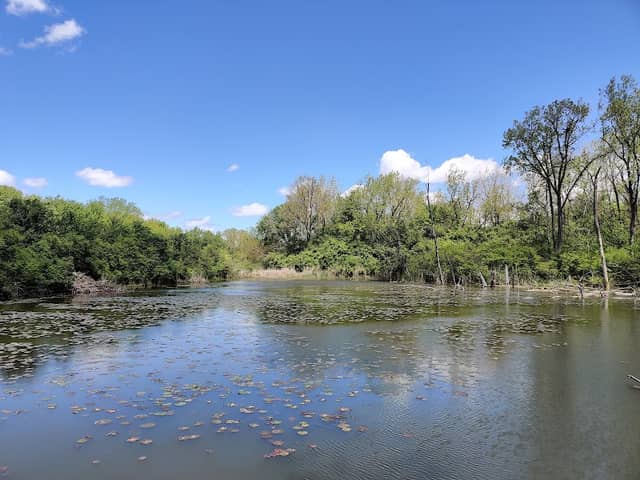 Blue Heron Boardwalk - Image 2