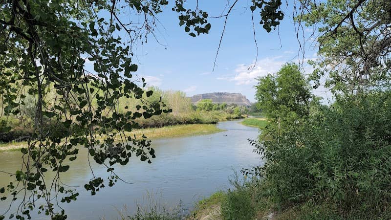 YMCA Park - Image 2