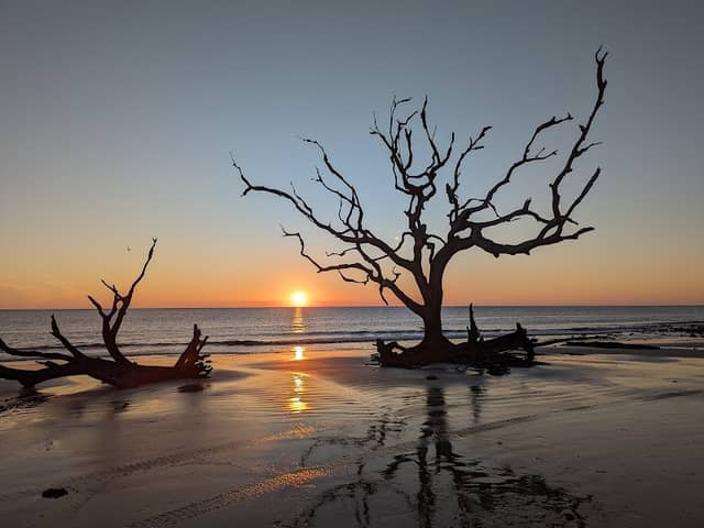 Jekyll Island State Park - Image 1