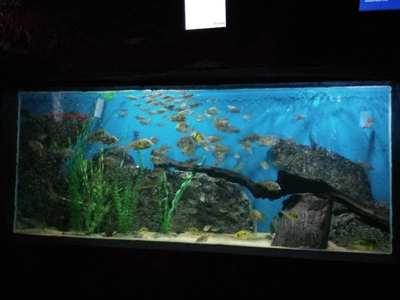 Colonia del Sacramento Aquarium - Image 1