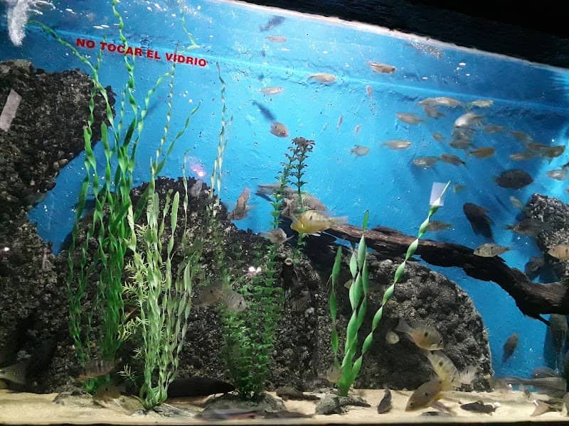 Colonia del Sacramento Aquarium - Image 2