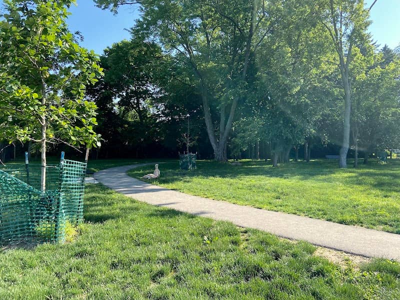 Central Bark Dog Park - Image 1