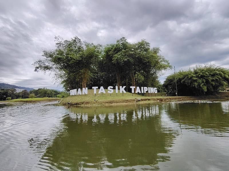 That Taiping Tree - Image 2