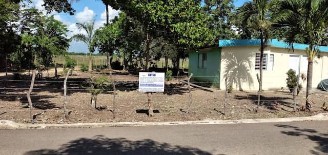 Barrio Lindo - Image 1